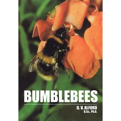 Bumble Bees - Paperback