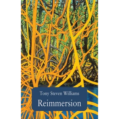 Reimmersion - Paperback