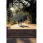 The Marriage Maze... Shining His Light on the Journey: Christian Couples' Advice for a Successful Marriage - Paperback