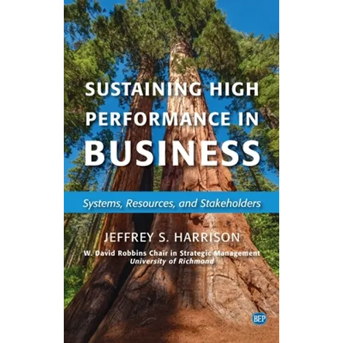 Sustaining High Performance in Business: Systems, Resources, and Stakeholders - Hardcover