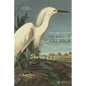 The Birds of America - Hardcover