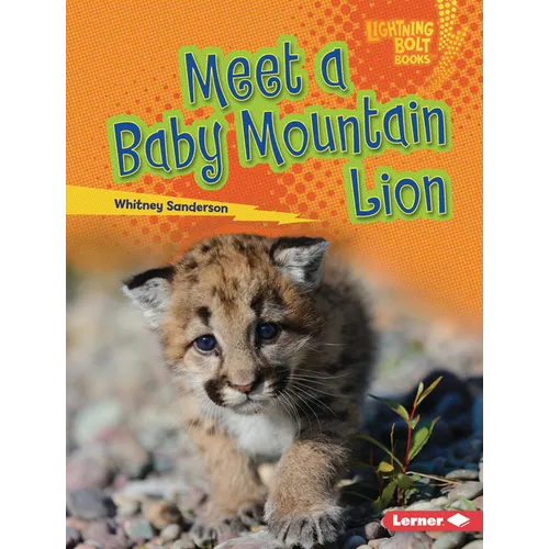 Meet a Baby Mountain Lion - Library Binding