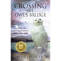 Crossing the Owl's Bridge: A Guide for Grieving People Who Still Love - Paperback