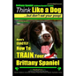 Brittany Spaniel, Brittany Spaniel Training Think Like a Dog But Don't Eat Your Poop! Brittany Spaniel Breed Expert Training: Here's EXACTLY How To TR - Paperback