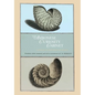 The Ambonese Curiosity Cabinet - Hardcover