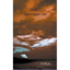 Odd Couple Out - Paperback