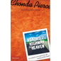 The Roadkill on the Highway to Heaven: Has Life Left You Flatter Than a Steam-Rolled Possum? - Paperback