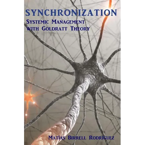 Synchronization: Systemic Management with the Goldratt Theory - Paperback