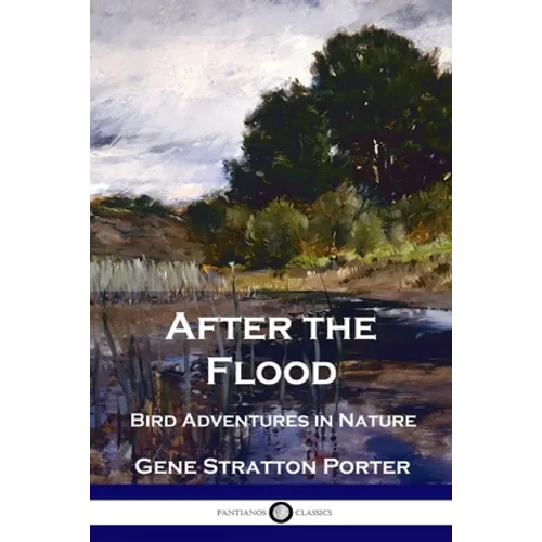 After the Flood: Bird Adventures in Nature - Paperback