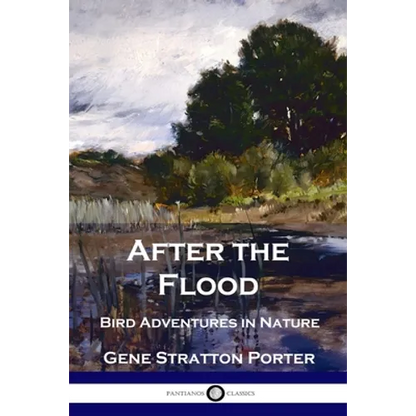 After the Flood: Bird Adventures in Nature - Paperback