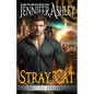 Stray Cat - Paperback