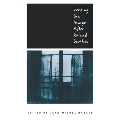 Writing the Image After Roland Barthes - Paperback
