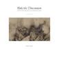 Historic Dinosaurs: Evidence that dragons are not mythological beasts - Paperback