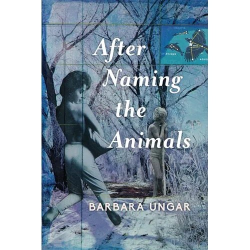 After Naming the Animals - Paperback