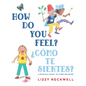How Do You Feel?/?C?mo Te Sientes? - Board Book