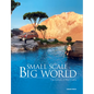 Small Scale, Big World: The Culture of Mini Crafts - Hardcover