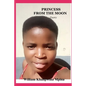 Princess From the Moon poetry - Paperback