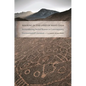 Walking in the Land of Many Gods: Remembering Sacred Reason in Contemporary Environmental Literature - Paperback