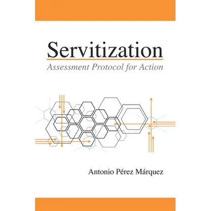 Servitization: Assessment Protocol for Action - Paperback