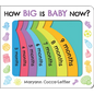 How Big Is Baby Now? - Board Book