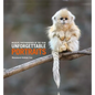 Unforgettable Portraits - Hardcover