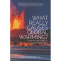 What Really Causes Global Warming?: Greenhouse Gases or Ozone Depletion? - Paperback