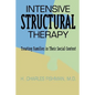 Intensive Structural Therapy: Treating Families in Their Social Context - Paperback