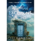 A Single Excellent Night: A Man, a Mentor, & a Moment in Time - Paperback