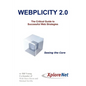 Webplicity 2.0: The Critical Guide to Successful Web Strategies - Paperback