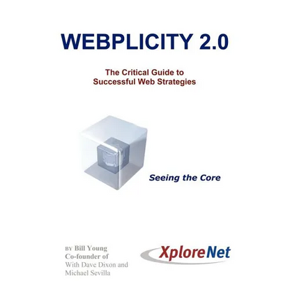 Webplicity 2.0: The Critical Guide to Successful Web Strategies - Paperback