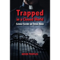 Trapped in a Closed World: Catholic Culture and Sexual Abuse - Paperback