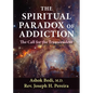 The Spiritual Paradox of Addiction: The Call for the Transcendent - Paperback