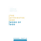 The Attributes and Work of God - Paperback