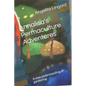 Annalisa's Permaculture Adventures: A new understanding of gardening - Paperback