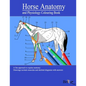 Horse Anatomy and Physiology Colouring Book: A Detailed Guide to Equine Anatomy with Answers Perfect Gift for Veterinary Students, Animal lovers, Adul - Paperback