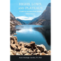 Highs, Lows, and Plateaus: A path to recovery from stroke - Paperback