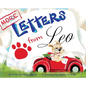 More Letters from Leo - Hardcover