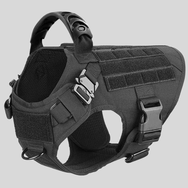 Large Dog Harness & Leash Set – Training Vest for Big Breeds