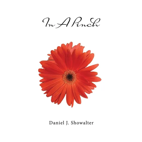 In A Pinch - Paperback