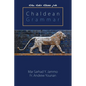 Chaldean Grammar - Paperback