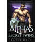 The Alpha's Secret Twins: Rejected Mate Wolf Shifter Romance - Paperback