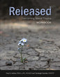 Released: Overcoming Sexual Trauma Workbook - Paperback