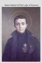 Saint Gabriel of Our Lady of Sorrows: Passionist A Youthful Hero of Sanctity - Paperback