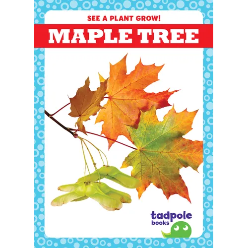 Maple Tree - Library Binding