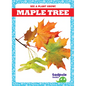Maple Tree - Library Binding