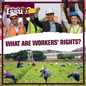 What Are Workers' Rights? - Paperback