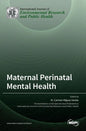 Maternal Perinatal Mental Health - Hardcover