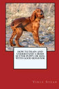 How to Train and Raise a Irish Setter Puppy or Dog with Good Behavior - Paperback