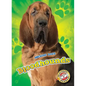 Bloodhounds - Library Binding