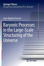 Baryonic Processes in the Large-Scale Structuring of the Universe - Paperback